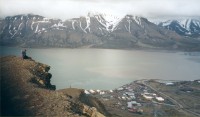 Eira katselee Longyearbyeniin kesällä 2000