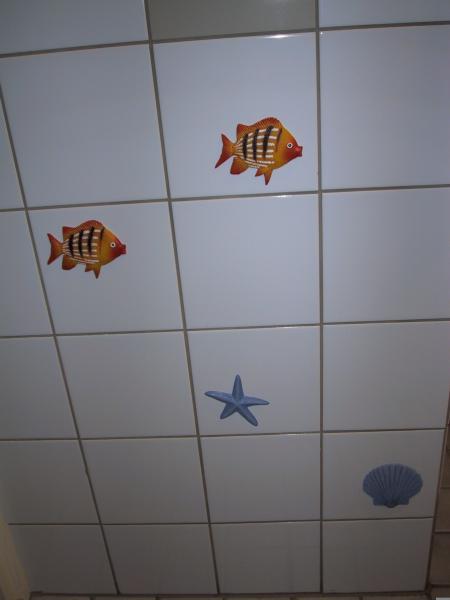 Tommin wc-akvaario.  &copy;Sonicjam
