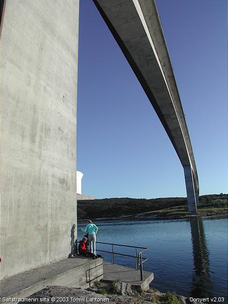 Saltstraumenin silta