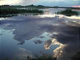 Kanteleen lintujärvi