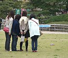 tytöt kuvattavana Okayaman linnan luona