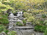 puro Kokoen puistossa Himejin vieressä