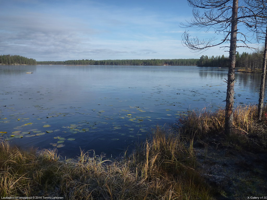 Lauttajärvi on umpijässä