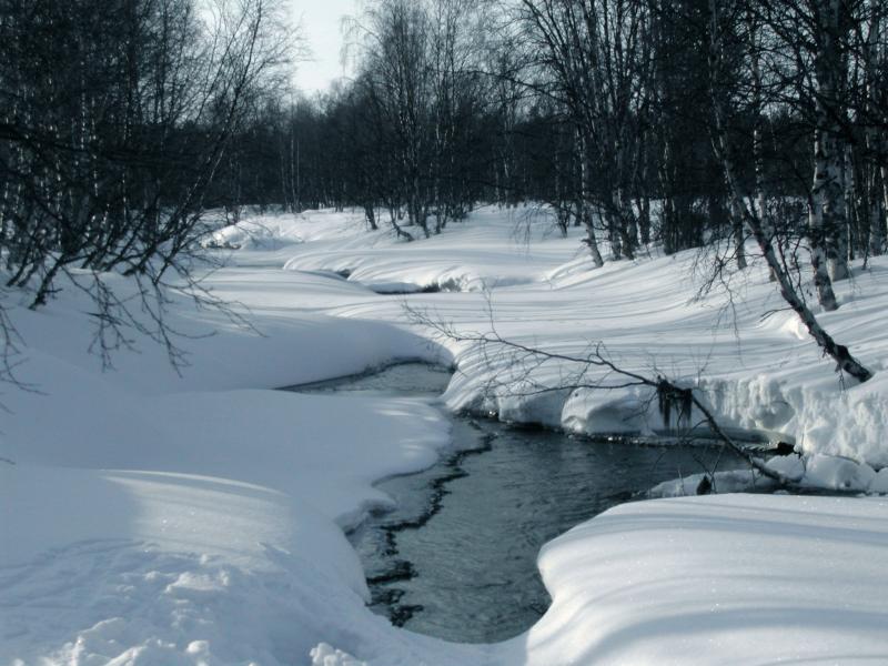 Tulppiojoki
