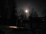 Topi iltapuuhissa kuun loisteessa
